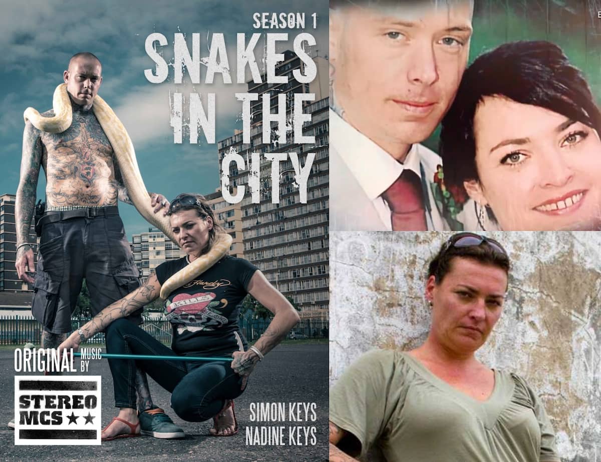 Who is Simon Keys? | Snake City - YouTube
