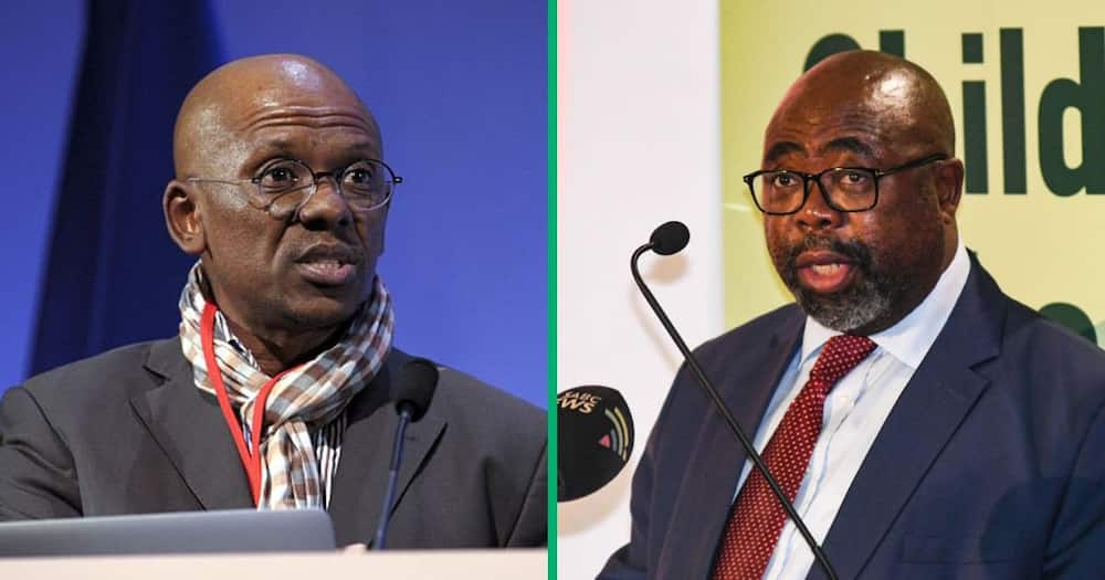 Mthunzi Mdwaba shares evidence against Minister Nxesi