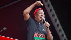 Julius Malema says the EFF will vote for a ghost if it means keeping the ANC out of power