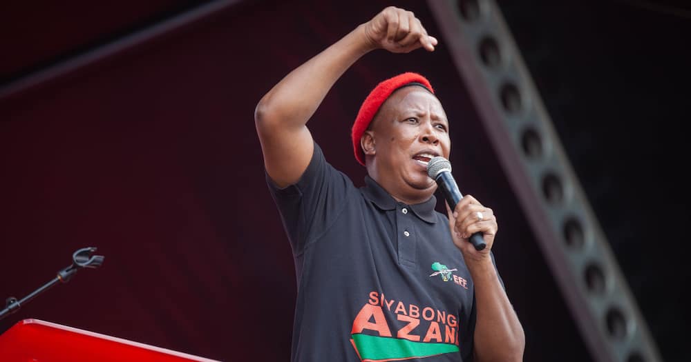 Julius Malema, EFF, ANC, Gauteng metros, EFF presser