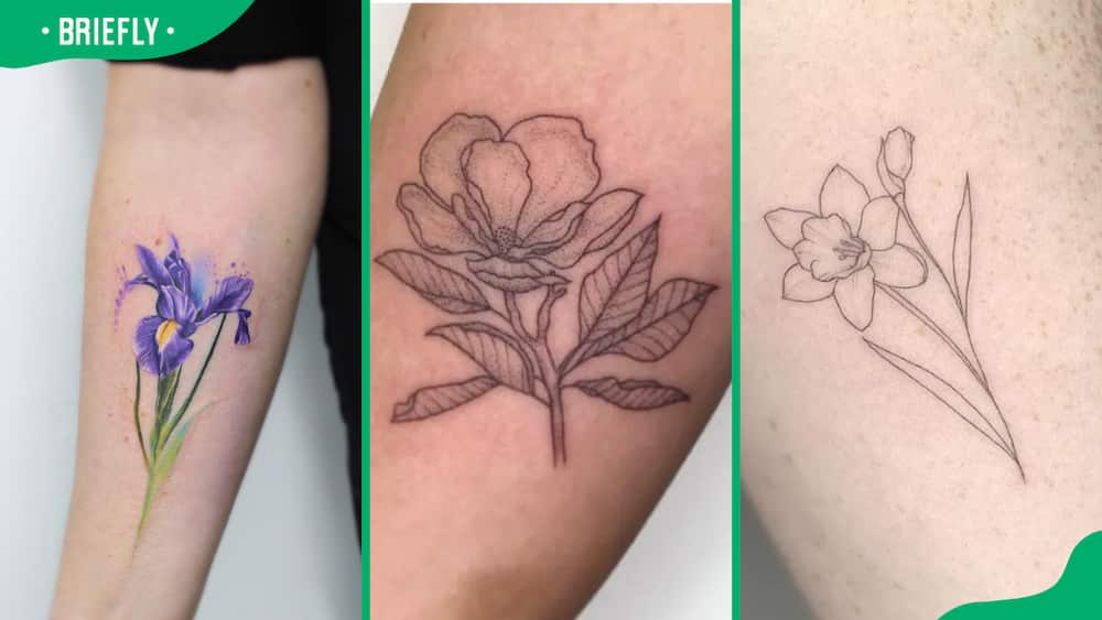 The iris (L), Magnolia (C) and Narcissus (R)flower tattoos