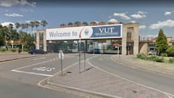 VUT late application 2022: dates, courses, forms, fees, prospectus, contacts