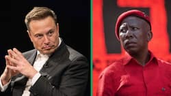Julius Malema implores Elon Musk to educate himself about struggle songs amid ‘Kill the Boer’ blowback