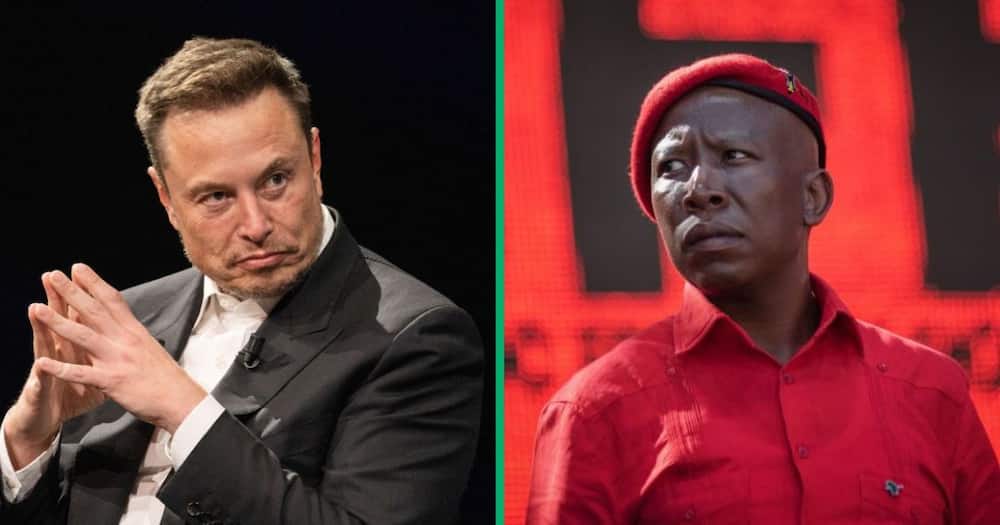 Julius Malema has advised Elon Musk to learn about struggle songs