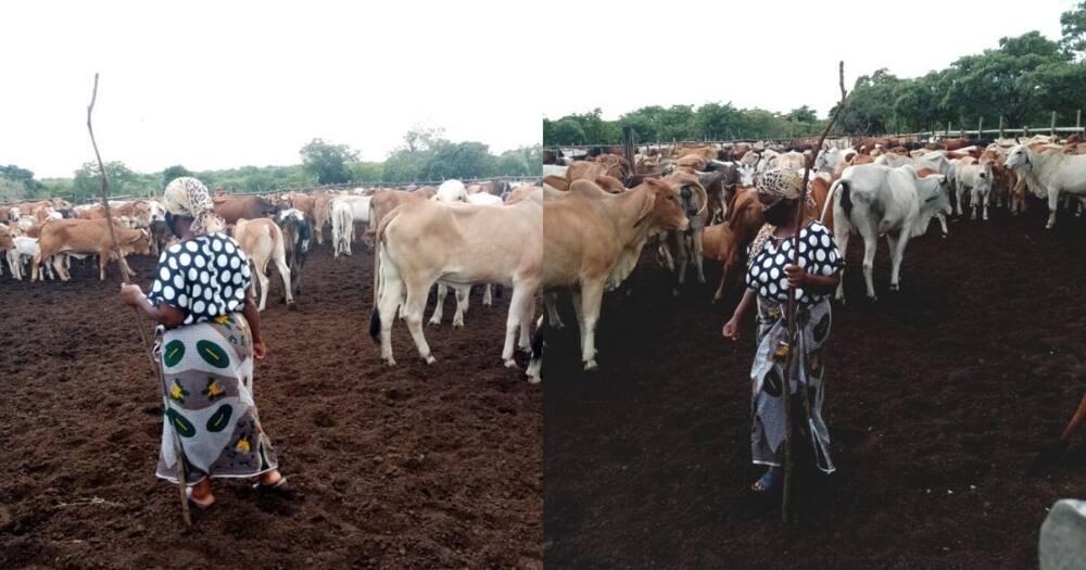 Daughter, celebrates, mom's success on farm