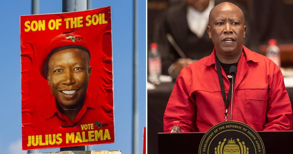 A general election campaign poster for Julius Malema, leader of the Economic Freedom Fighters (EFF)