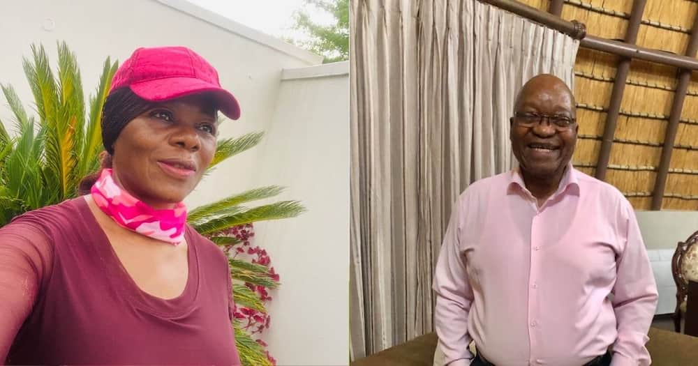 Thuli Madonsela Slams Zuma's Behaviour, Says He's Not Above the Law