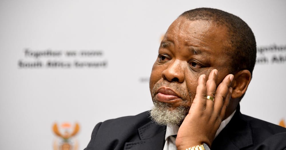 Calls for Mantashe's Axing Mount Amid Money-Laundering Allegations