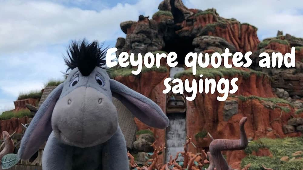 winnie the pooh characters eeyore quotes