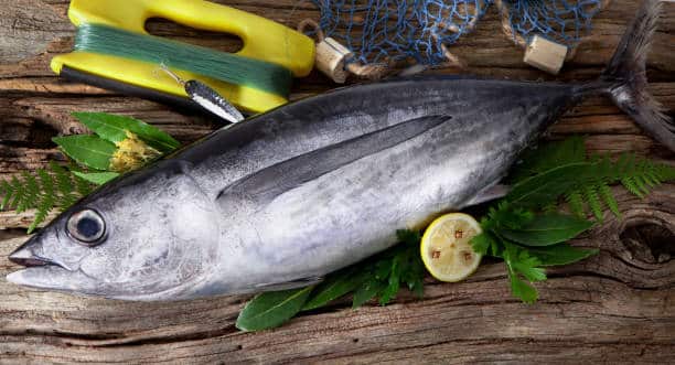 Why is the bluefin tuna so expensive?
