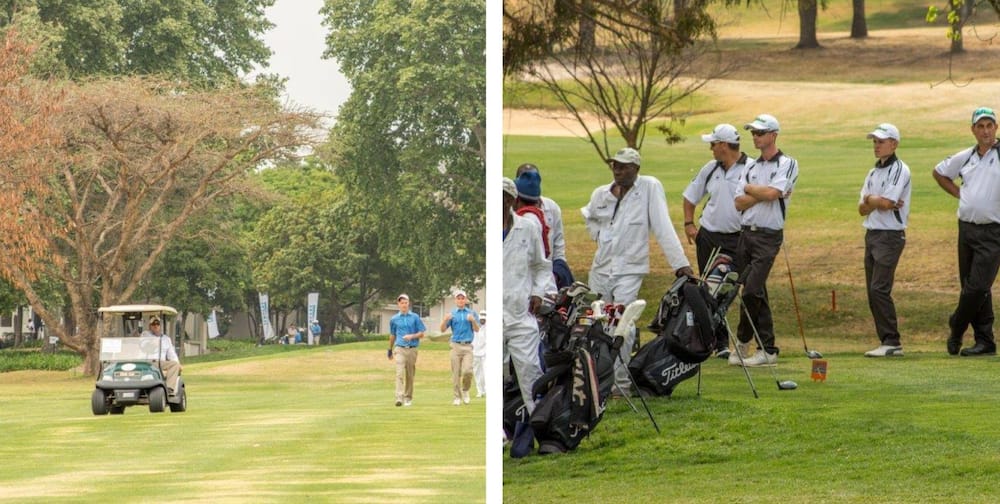How much does it cost to play golf in Johannesburg?