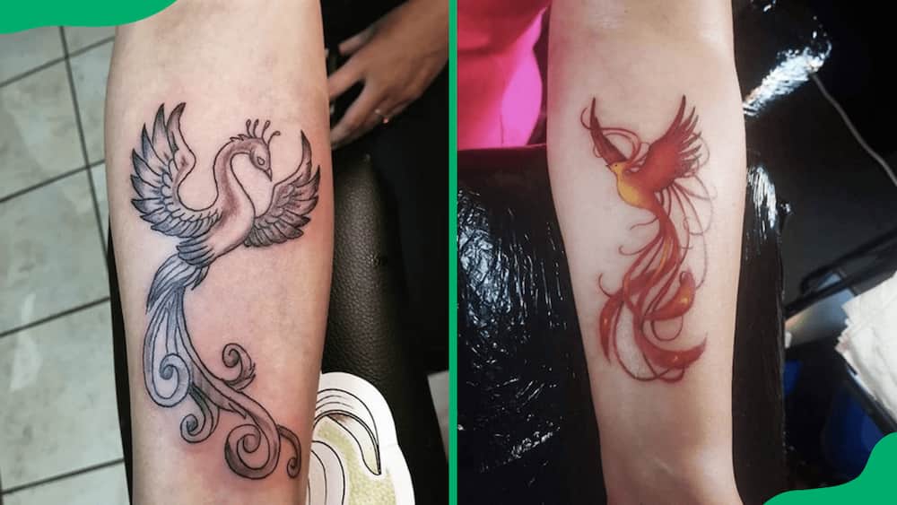 Small phoenix tattoos