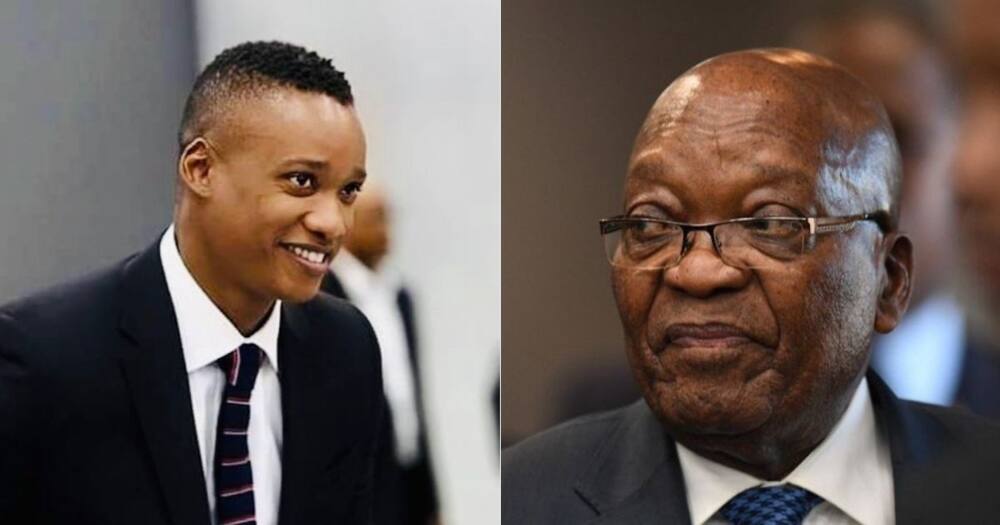 Duduzane Zuma, Backlash, Social Media, Video, Father’s Arrest