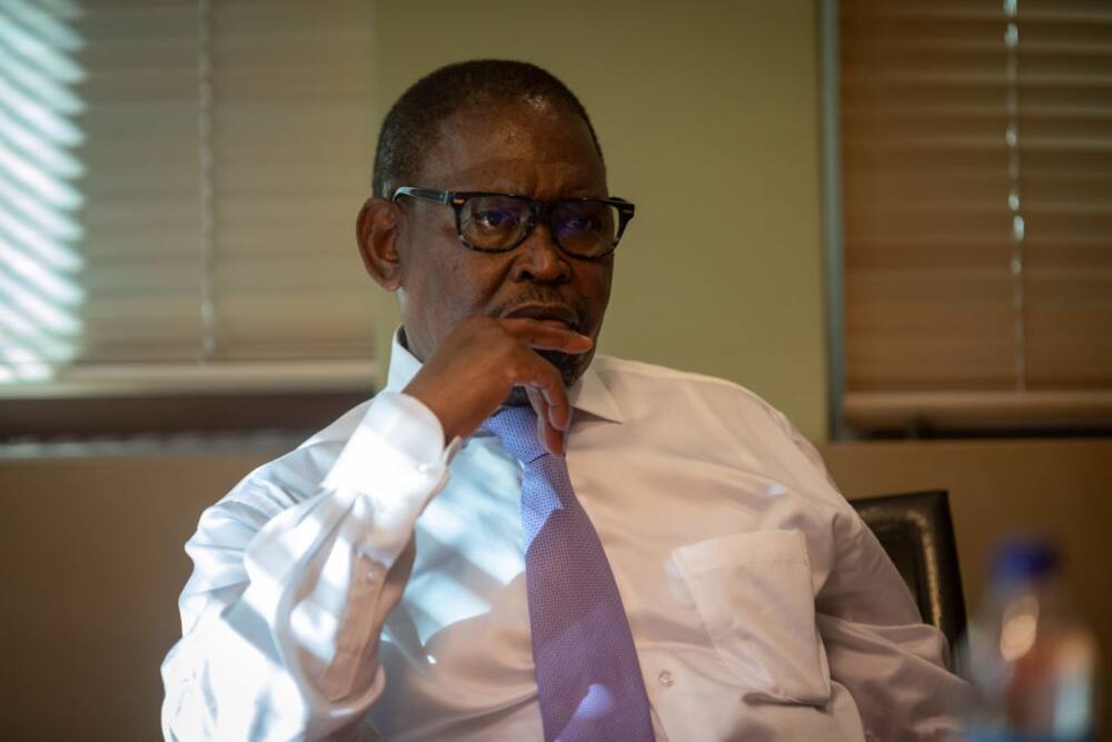 Enoch Godongwana, Finance Minister, SRD grant