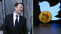 Elon Musk confirms Twitter logo change to Dogecoin emblem, move shows links between Musk and cryptocurrency