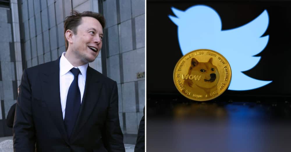 Elon Musk confirms Twitter logo change