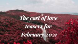 The Cost of Love Teasers: learn more about the February 2021 episodes first!