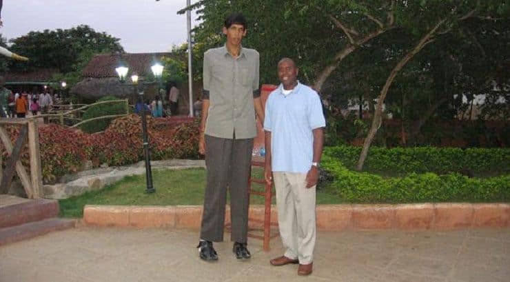 world's tallest man