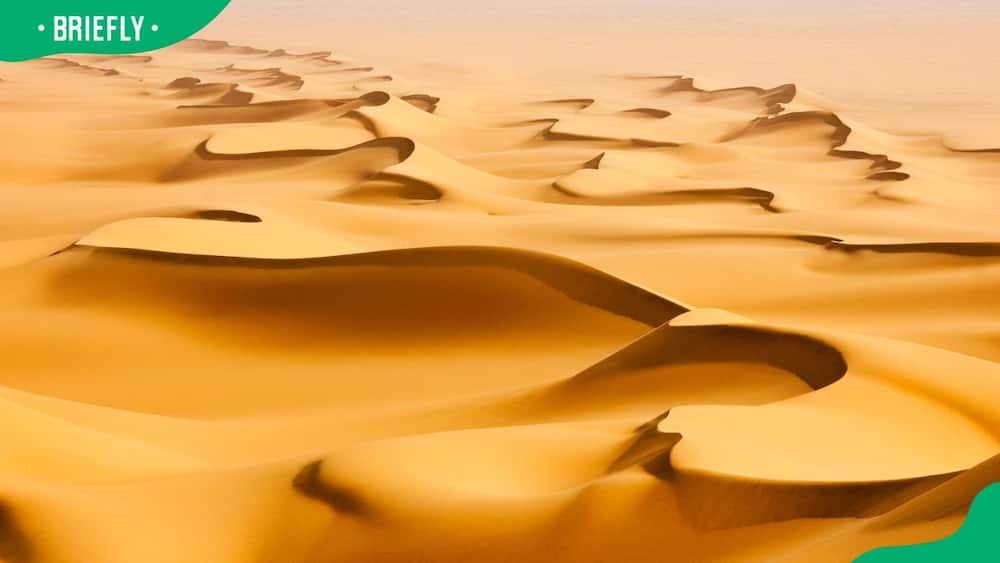 Topography of the Sahara Desert