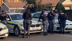Ipid launches probe into police's reaction at Rosettenville shooting, attempted CIT heist foiled
