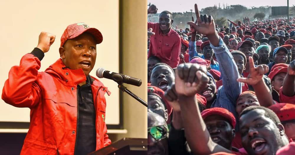 Julius Malema, Twitter, suspended, incitement to violence