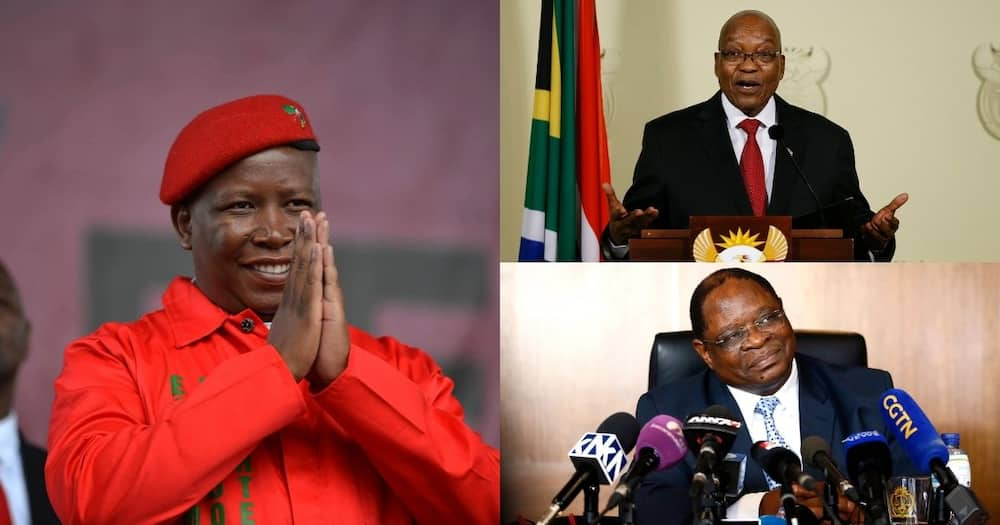 Malema Says Zondo Must Divulge Info from Secret Meeting with Zuma