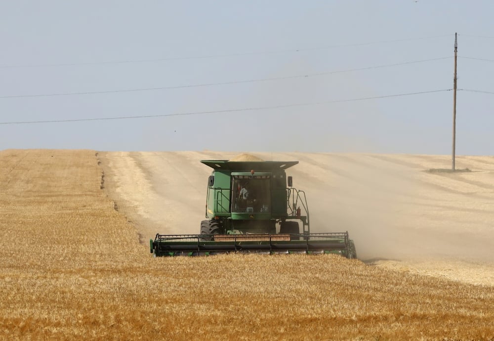 Up to 25 million tonnes of wheat and other grain are in danger of rotting in Ukrainian ports