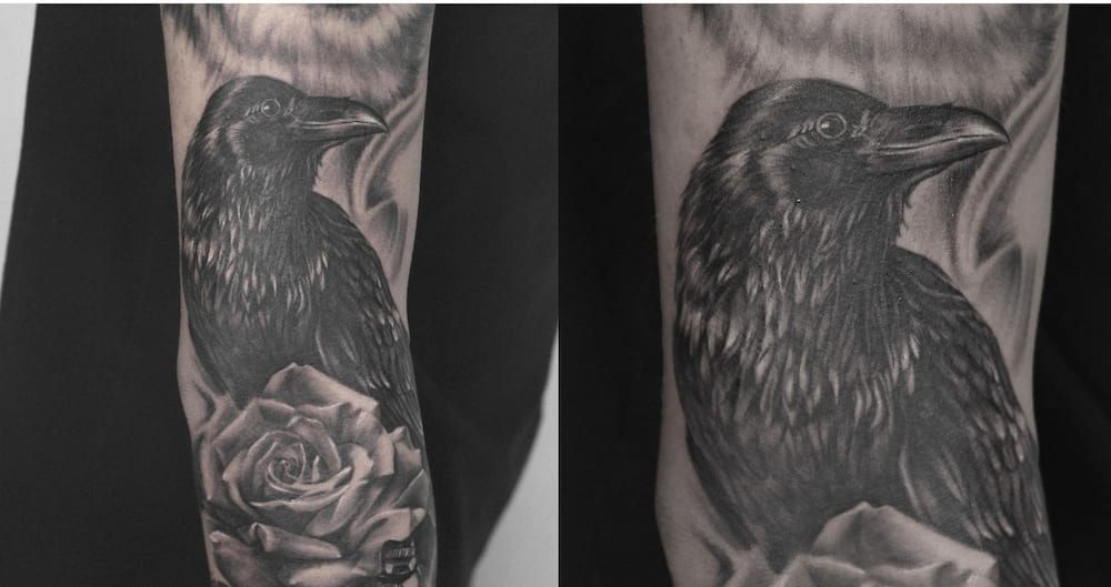 Crow tattoo