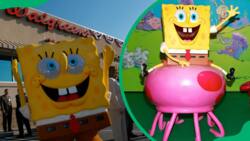 How old is SpongeBob SquarePants? The facts and fan theories
