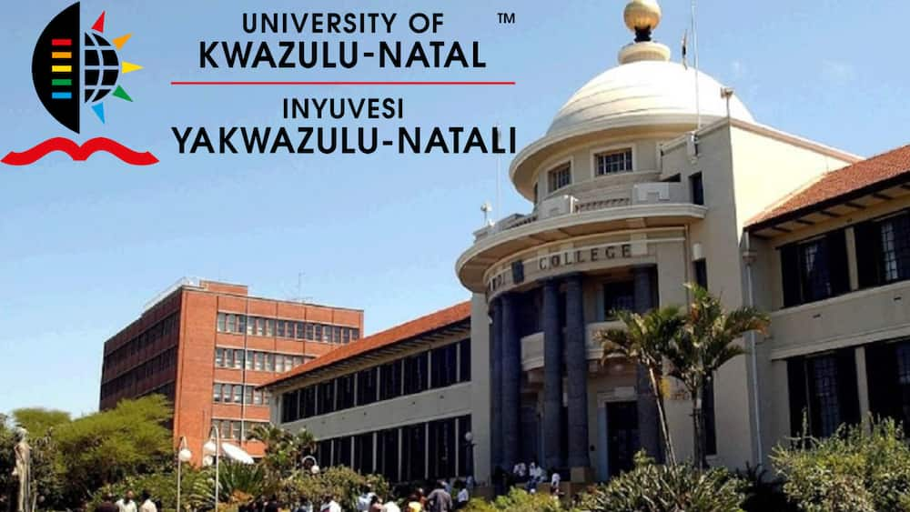 all-ukzn-courses-requirements-duration-and-campuses-that-offer-them