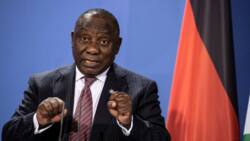 Acting public protector clears Cyril Ramaphosa on ANC misusing state funds investigation