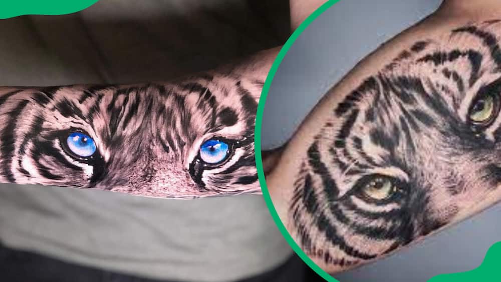 Japanese tiger eyes tattoo design