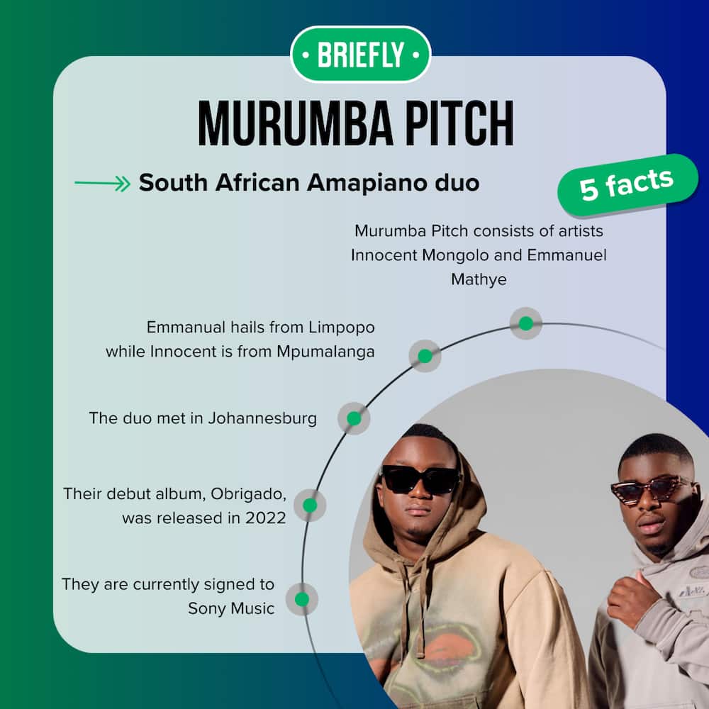 Murumba Pitch facts