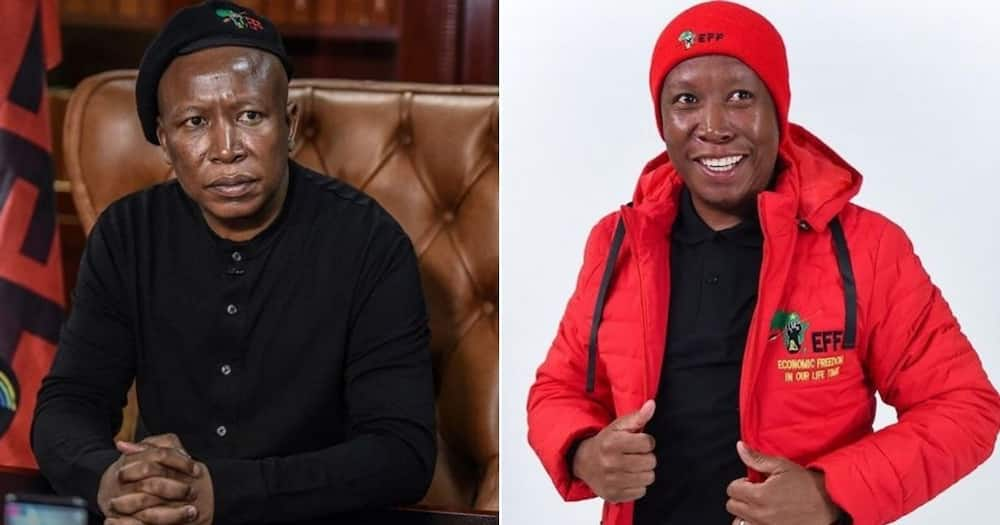 SA laughing out loud over Malema hinting he can do karate: "Hiyaaa"