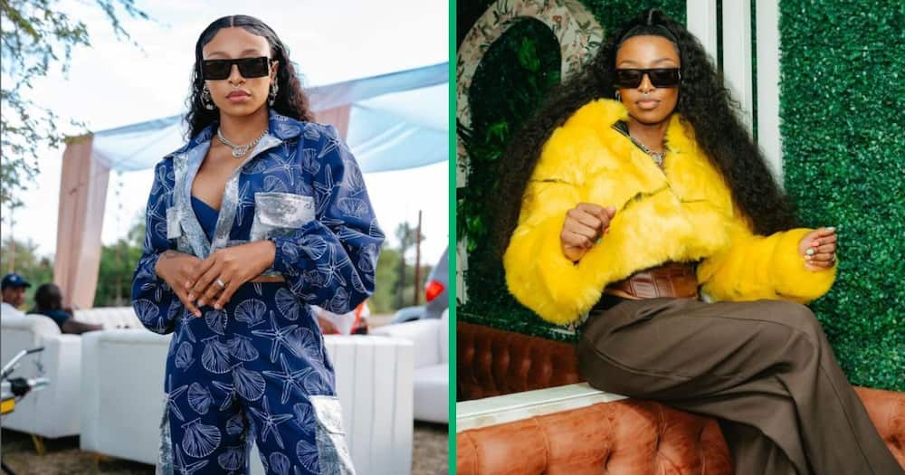DJ Zinhle continues to get trolled for saying the South African youth is unemployable.