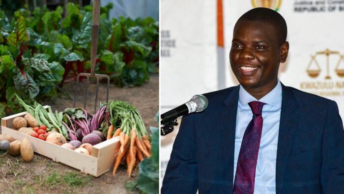Prisoners producing own food saves correction services department millions, says Minister Ronaldo Lamola