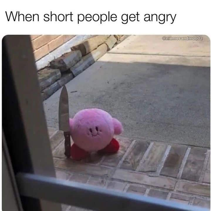 short people memes