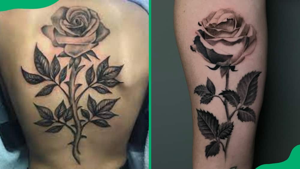 Rose and leaves tattoo