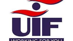 UIF contact details: who to contact for assistance on UIF and TERS and how to