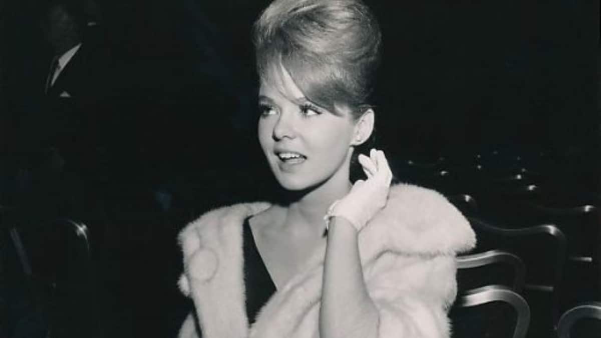 What Does Joey Heatherton Today Look Like Full Biography Za