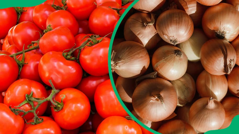 tomatoes and onions are among the most profitable vegetables to grow in South Africa