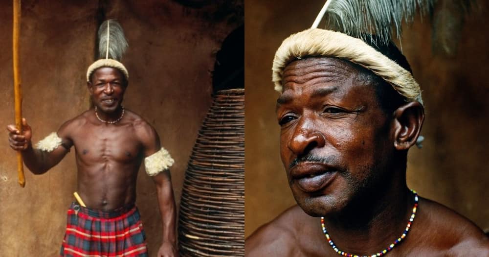 Pedi warrior, Pedi man, Pedi people of South Africa, Pedi tribe, South African tribe, history of Pedi people