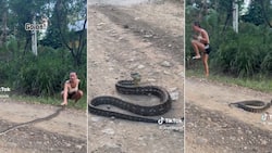 Woman on TikTok tries to move python with bare hands and goes viral after snake attacks her