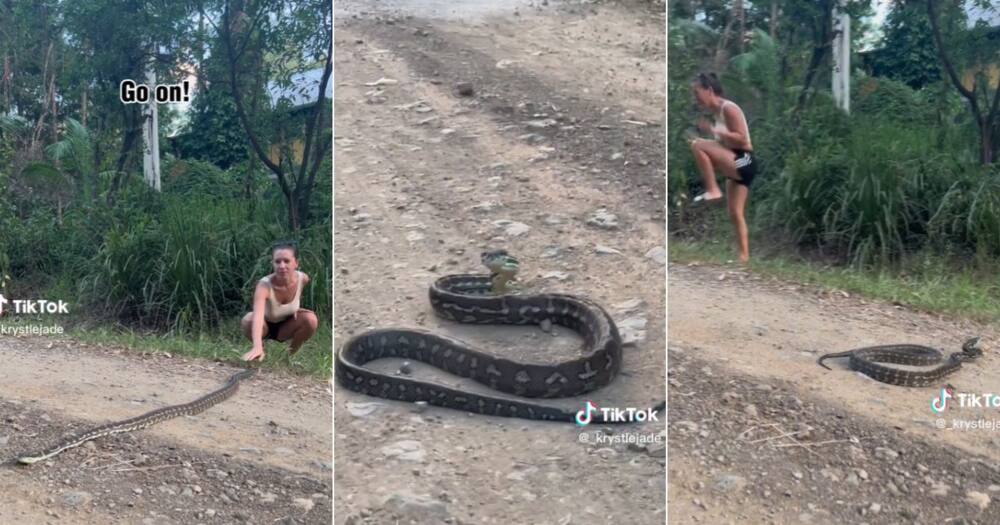 Woman tries to move snake with hands