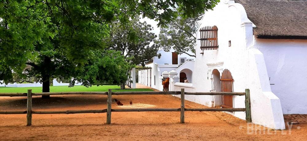 Babylonstoren was changed into a vineyard and farm