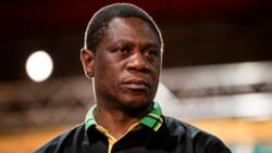Paul Mashatile says MP Mervyn Dirks was supposed to lay a complaint against Ramaphosa to ANC Chief Whip