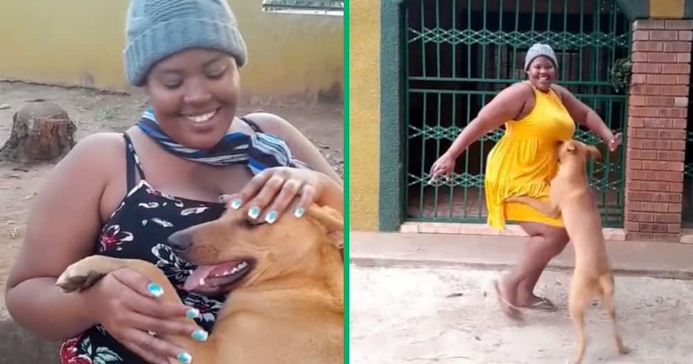 Woman from Mpumalanga gets interupted by her dog while dancing.