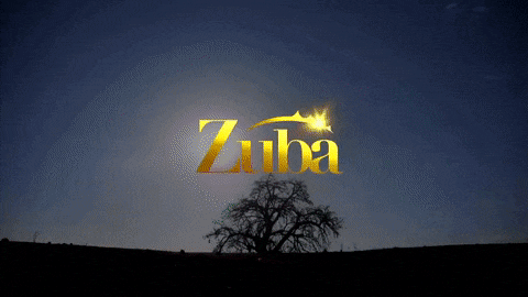 Zuba 3 Teasers for May 2021