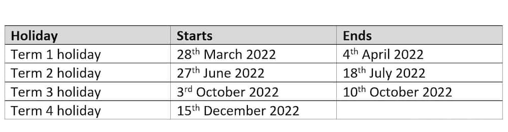 school terms in 2022 school terms in 2022