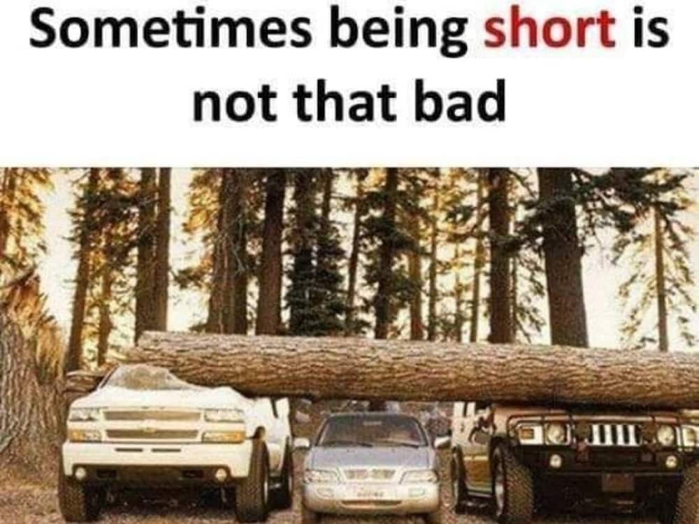 short person problems meme